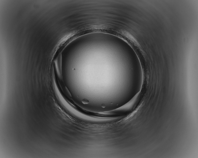 X0000087020930200704161558