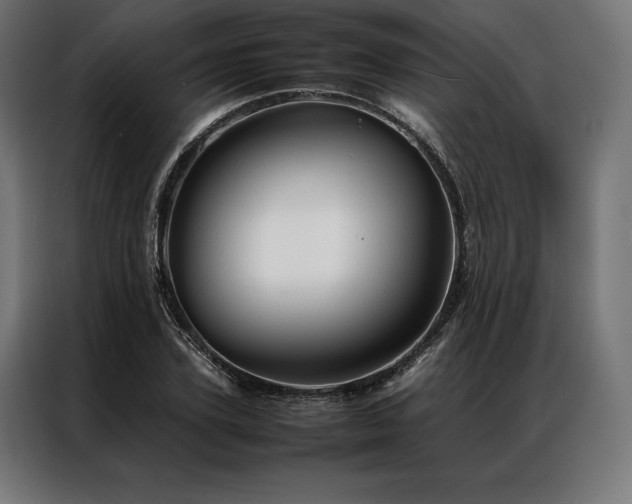 X0000087020931200704161558