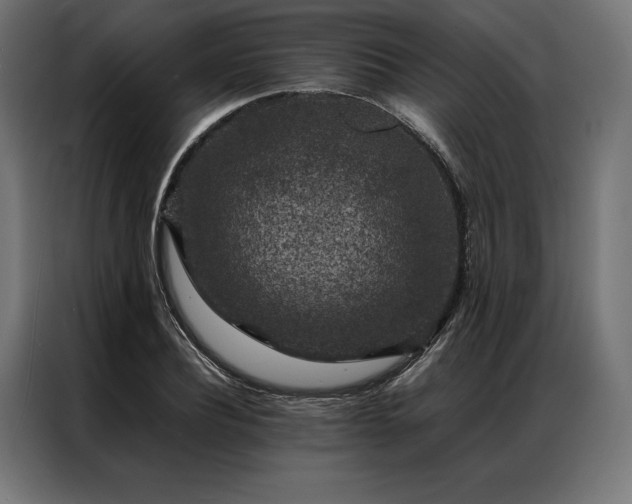 X0000087020932200704161558