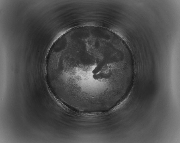 X0000087020933200704161558
