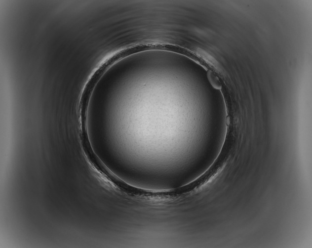 X0000087020934200704161558
