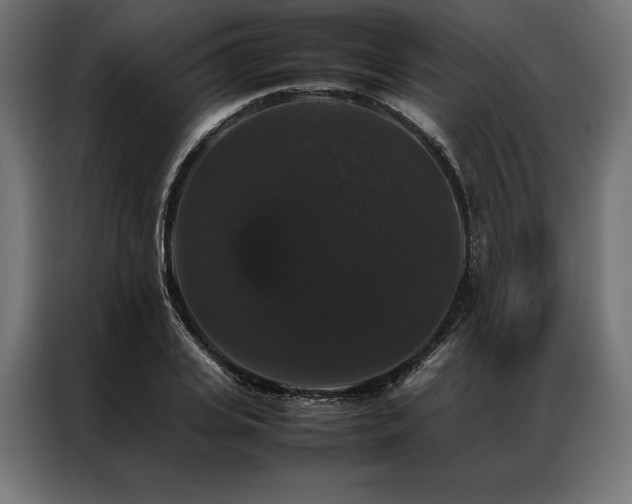 X0000087020935200704161558