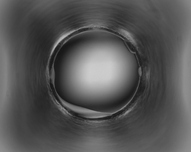 X0000087020936200704161558