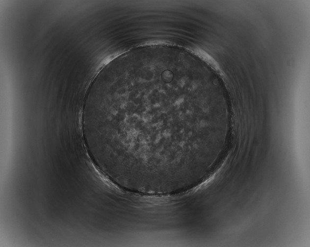 X0000087020937200704161558