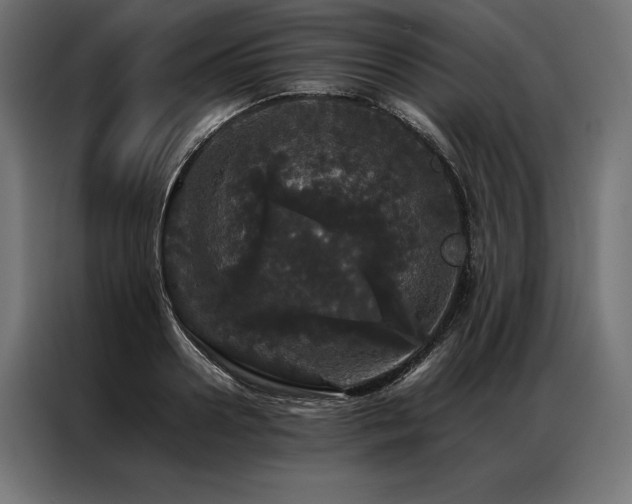 X0000087020938200704161558