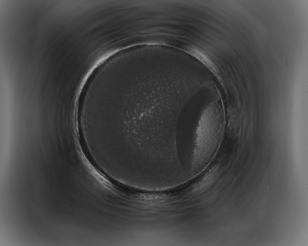 X0000087020939200704161558