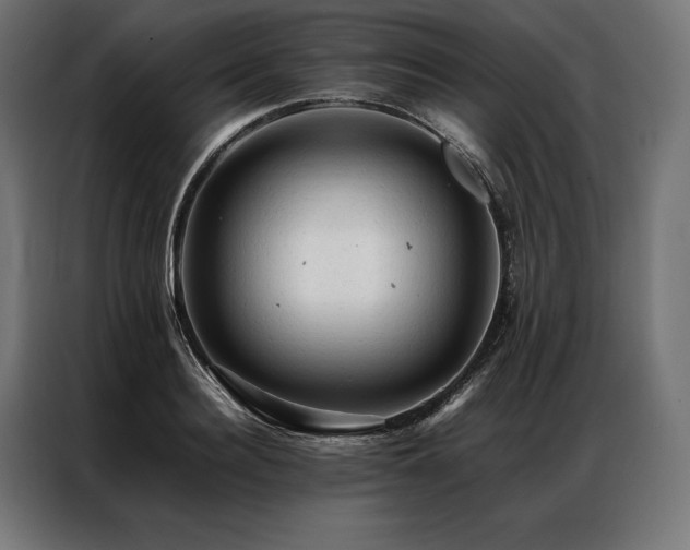 X0000087020940200704161558