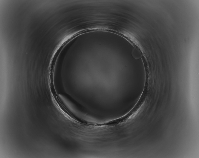 X0000087020941200704161558