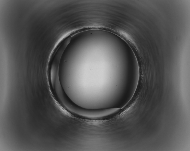 X0000087020942200704161558