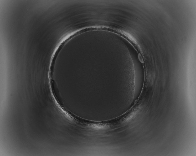 X0000087020943200704161558