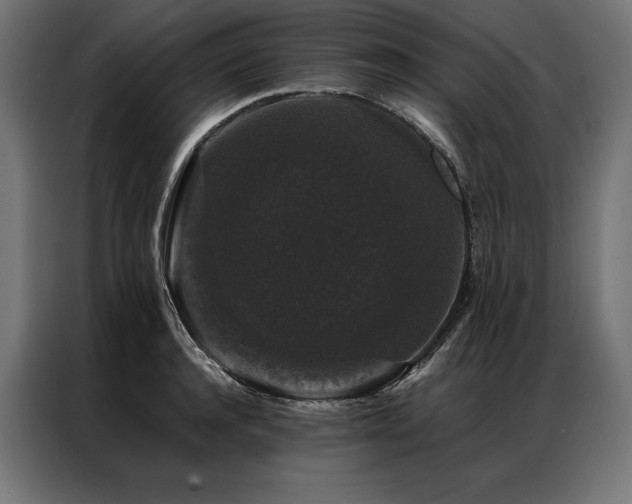 X0000087020944200704161559