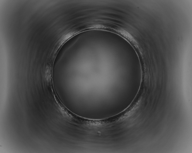 X0000087020945200704161559