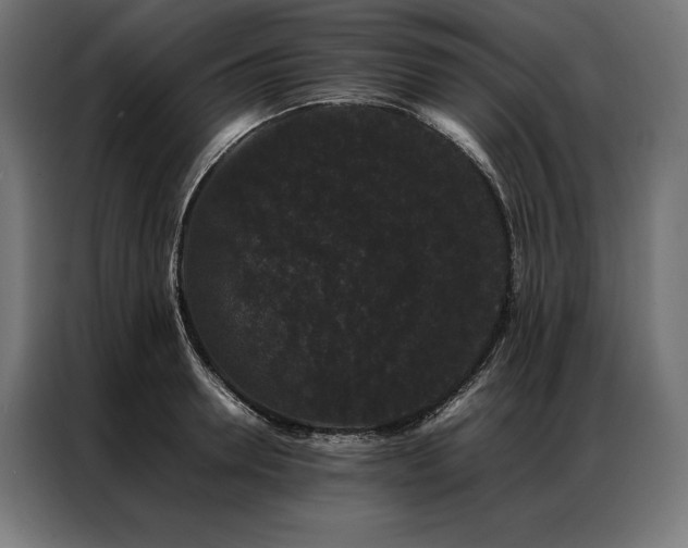 X0000087020946200704161559