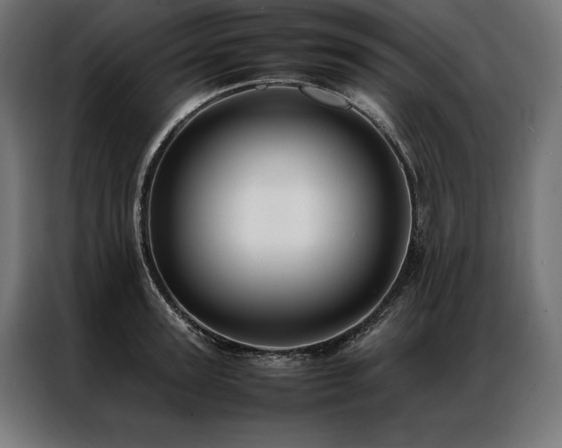X0000087020947200704161559