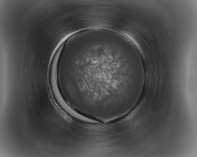 X0000087020948200704161559