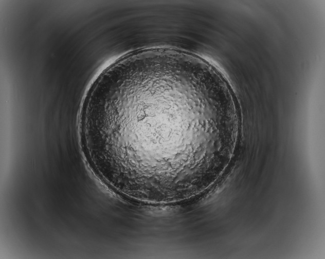 X0000087020949200704161559