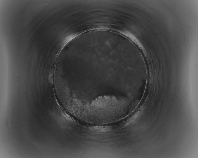 X0000087020953200704161559