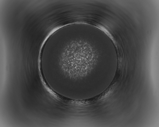 X0000087020955200704161559