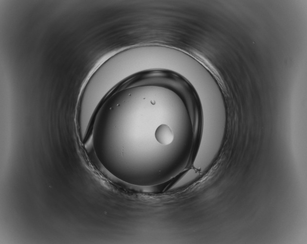 X0000087020956200704161559