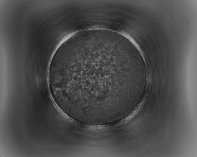 X0000087020957200704161559
