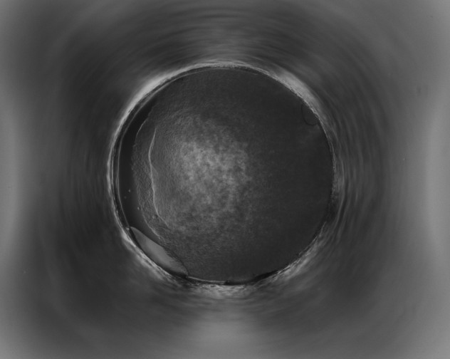 X0000087020958200704161559