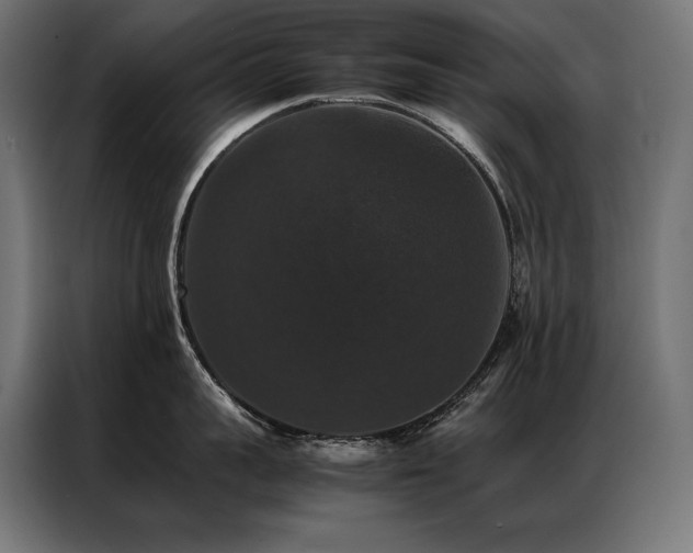 X0000087020959200704161559