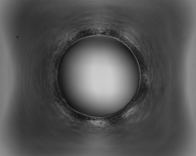 X0000087020961200704161558