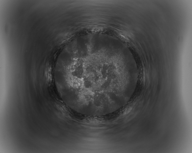 X0000087020962200704161558