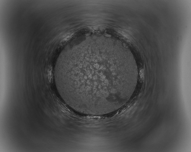 X0000087020963200704161558