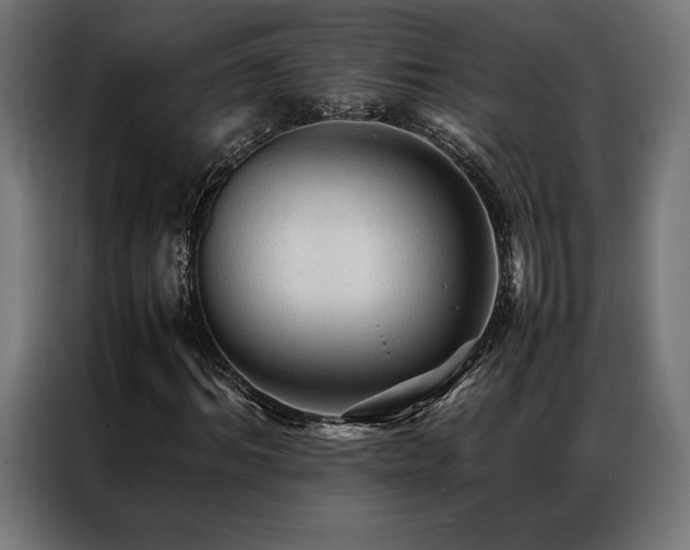X0000087020964200704161558
