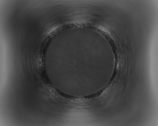 X0000087020966200704161558