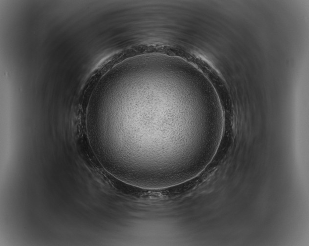 X0000087020968200704161558