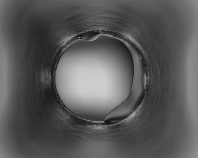 X0000087020969200704161558