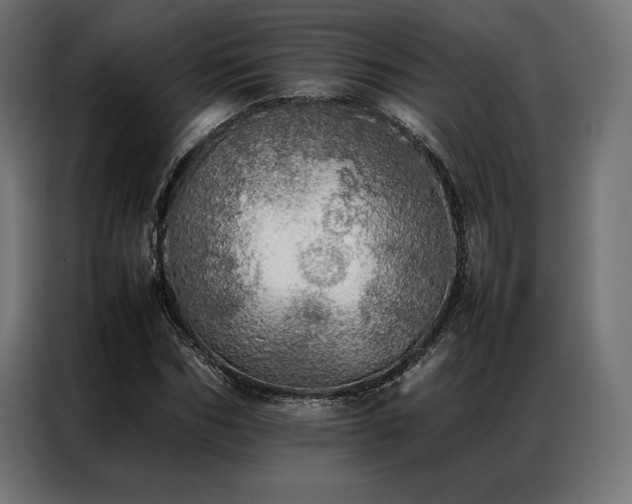 X0000087020970200704161558