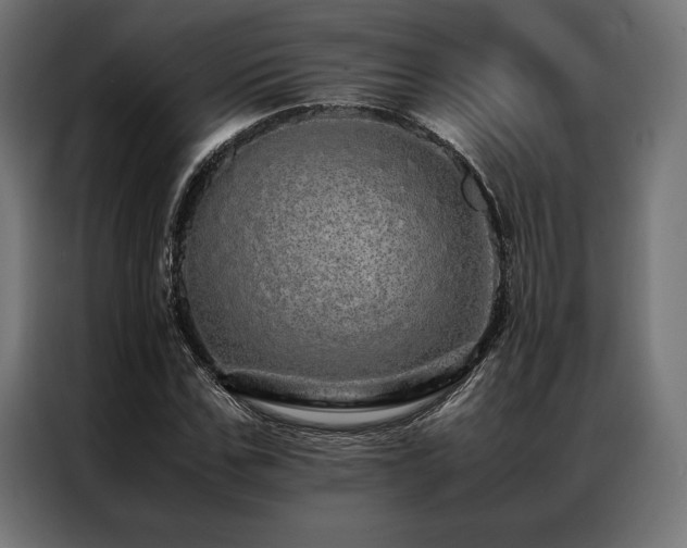 X0000087020971200704161558