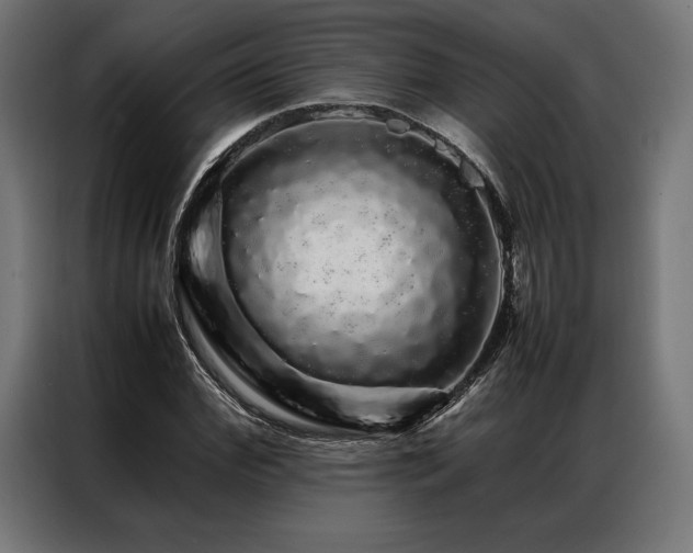 X0000087020972200704161558