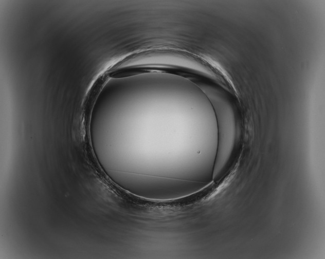 X0000087020973200704161558
