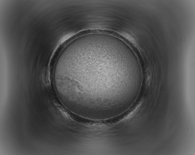 X0000087020974200704161558