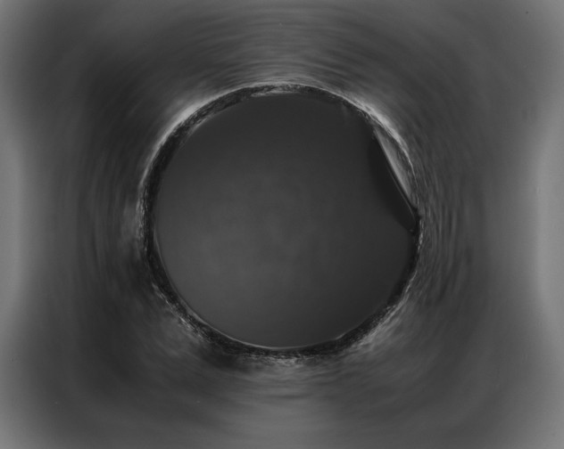 X0000087020975200704161558