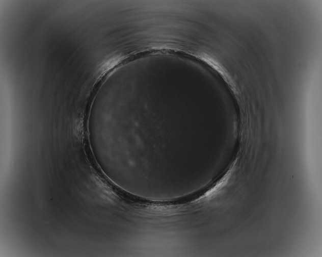 X0000087020977200704161558