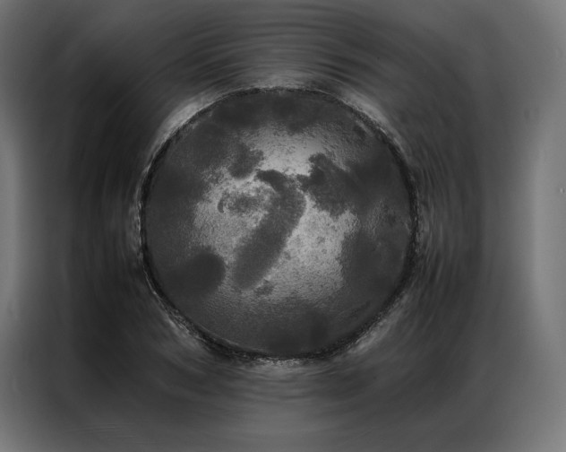 X0000087020978200704161558