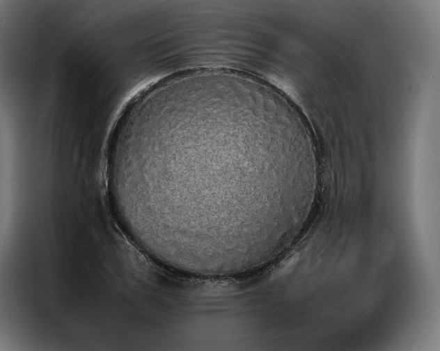 X0000087020979200704161558