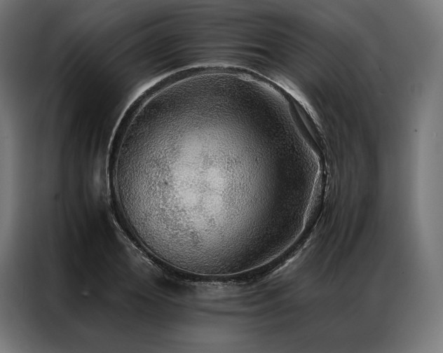 X0000087020980200704161558