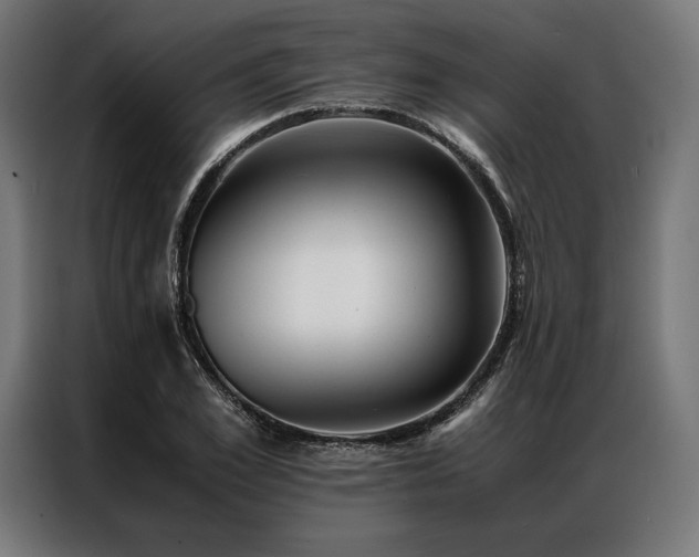X0000087020981200704161558