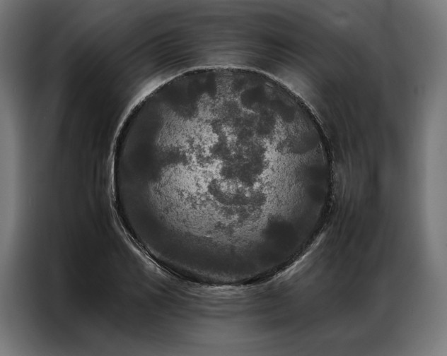 X0000087020982200704161558