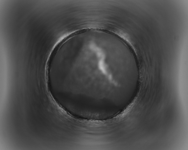 X0000087020983200704161558