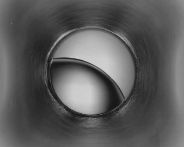 X0000087020984200704161558