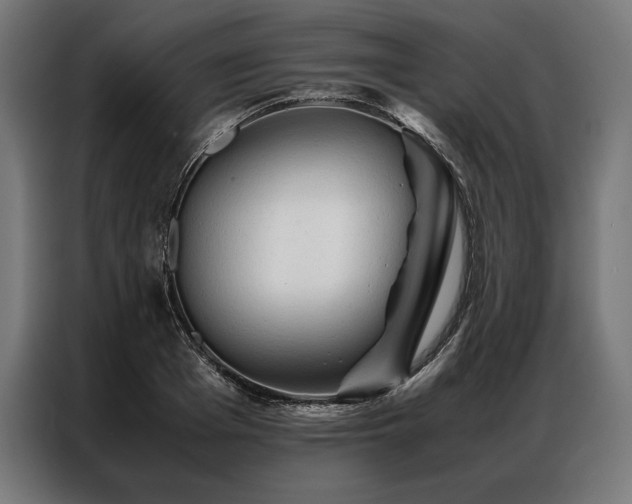 X0000087020985200704161558