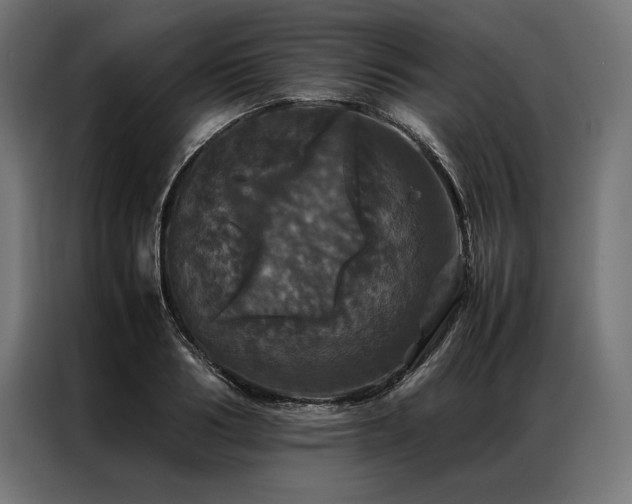X0000087020986200704161558