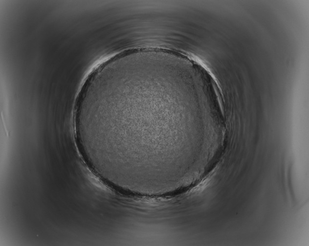 X0000087020987200704161558